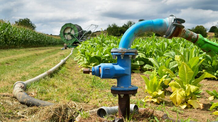 Hose reeled on, providing water for sprinkler system | © GH