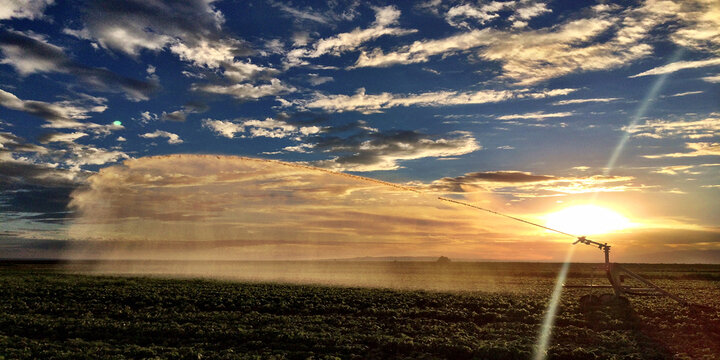 Bewässerungsanlage Kreisregner mit GH-Bewässerungsschlauch als Versorgungsschlauch | © GH